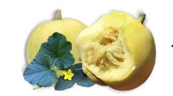 老棚瓜怎么吃最好