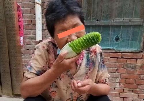 公婆吃瓜视频大全,公婆吃瓜视频大全趣味盘点