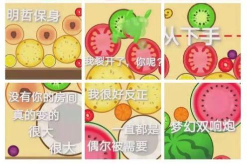 泡泡吃瓜网址,带你领略网络娱乐新风尚