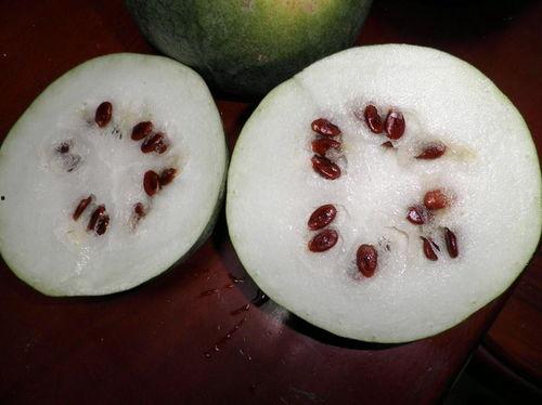 喜籽瓜可以吃吗,美味可口的天然零食探索