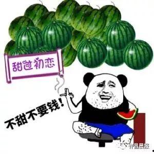 许昌吃瓜拍照,吃瓜拍照，记录夏日美好时光