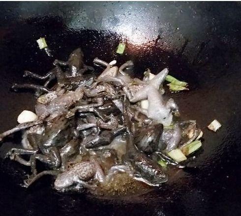 林蛙瓜吃炸鸡,林蛙瓜的炸鸡美食之旅