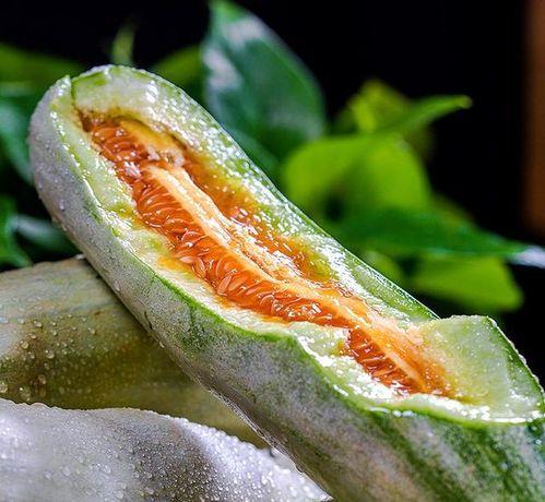 吃瓜 在线 网红