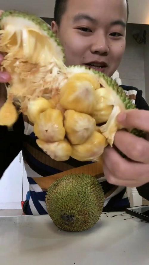 小孩哥吃蜜瓜,小孩哥甜蜜蜜瓜之旅